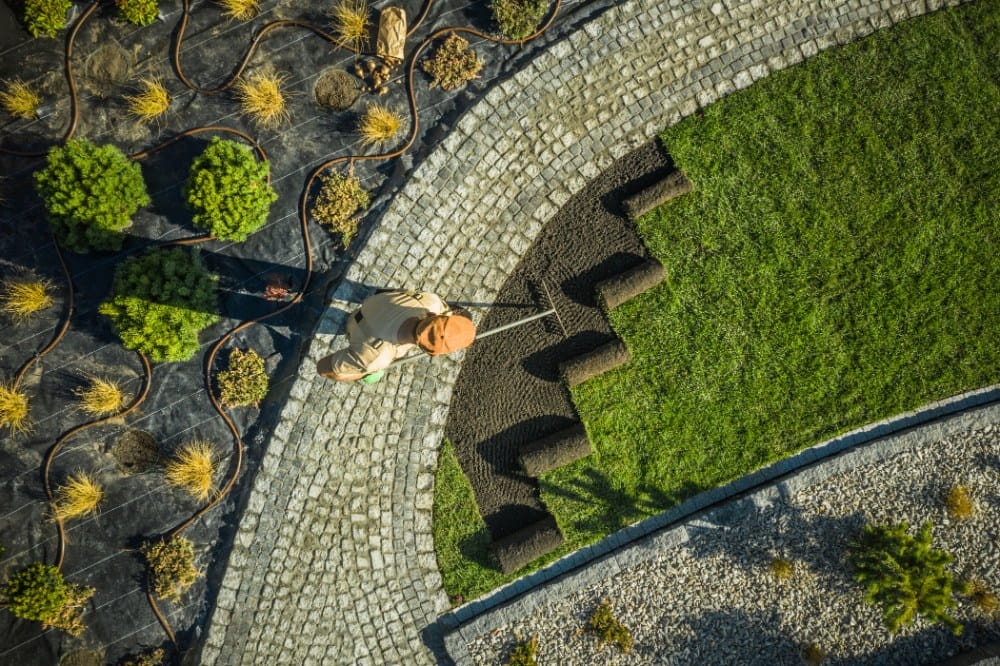 Landscape crew installing rolls of fresh turf along a stone path