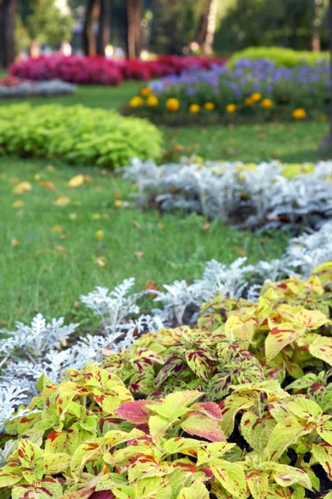 Colorful landscape beds and plantings beside a green lawn